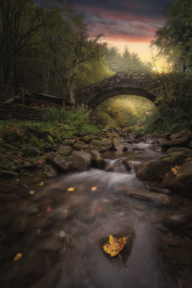 Misty Autumn Forest Bridge by Marco Bruna — canvas wall art