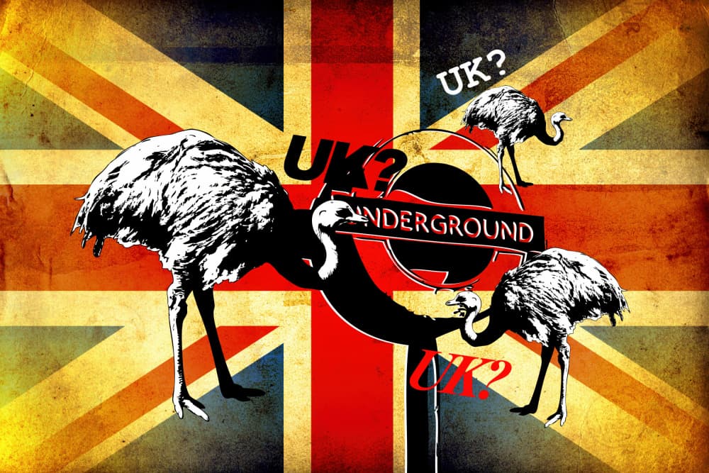 British Underground Emus by Rafal Kulik — canvas wall art