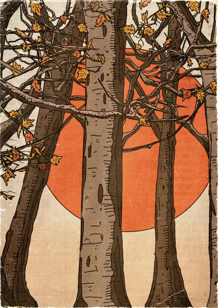 Autumn Trees Sunset by Nicholas — canvas wall art