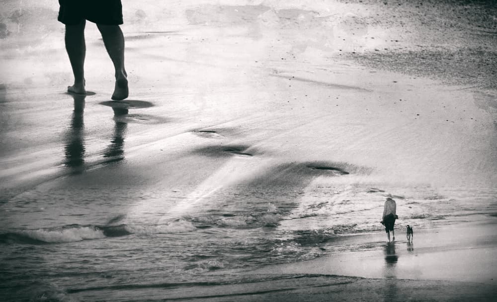 Ocean Walk With Dog by Anita Underwood Photography — canvas wall art