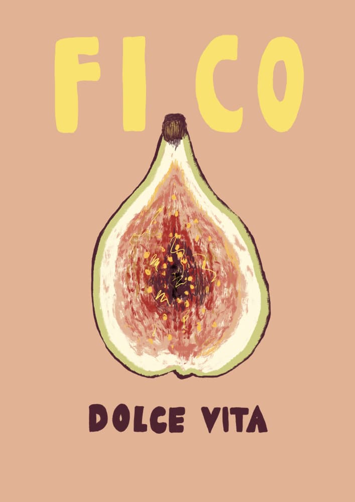 Fico Dolce Vita by Studio Dolci — canvas wall art