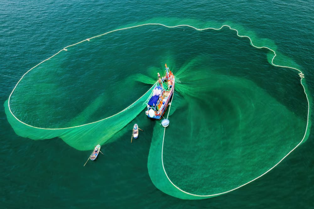 Green Net Ocean Fishing by Pi Rain — canvas wall art