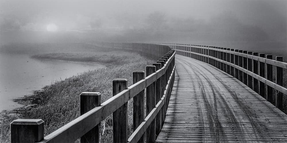 Misty Morning Boardwalk by Leif Løndal — canvas wall art