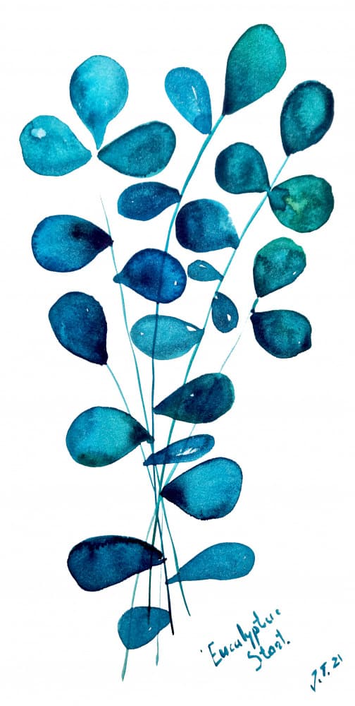 Blue Eucalyptus Leaves by Julija Belickienė — canvas wall art