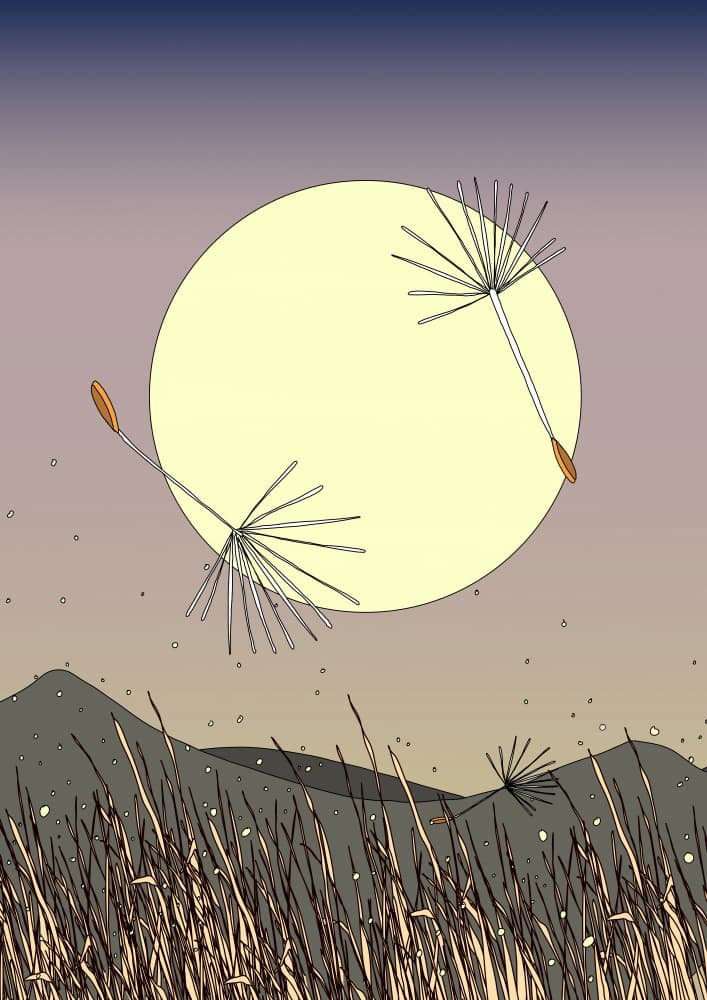 Moonlit Dandelion Drift by Nicholas — canvas wall art