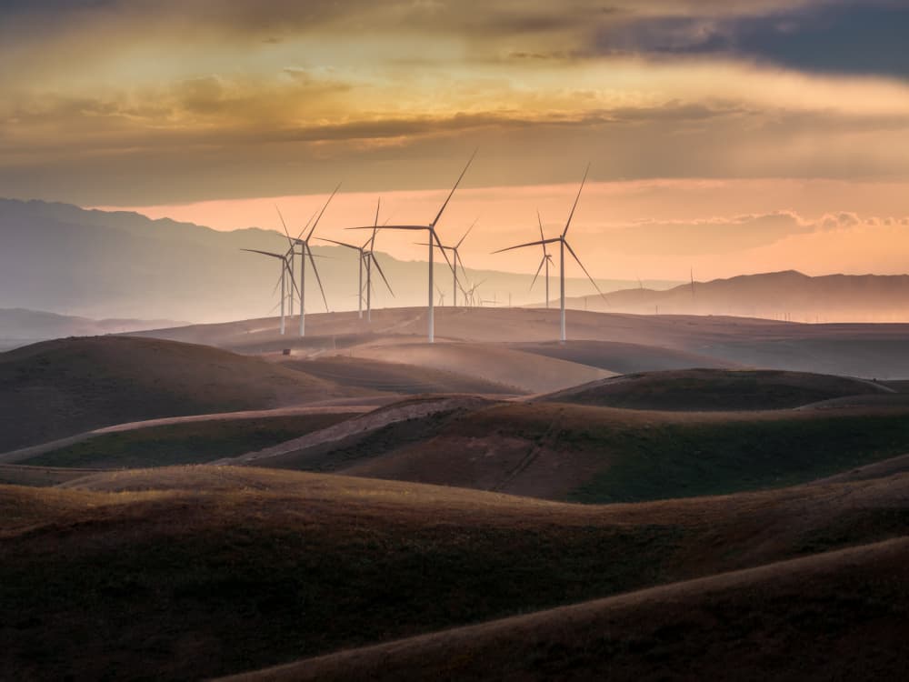 Golden Hour Wind Farm by Irene Wu — canvas wall art