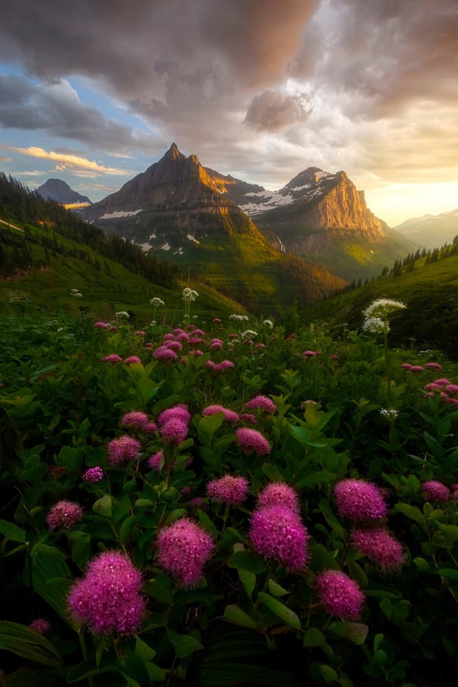 Vibrant Mountain Meadow Sunset by Ryan Dyar — canvas wall art