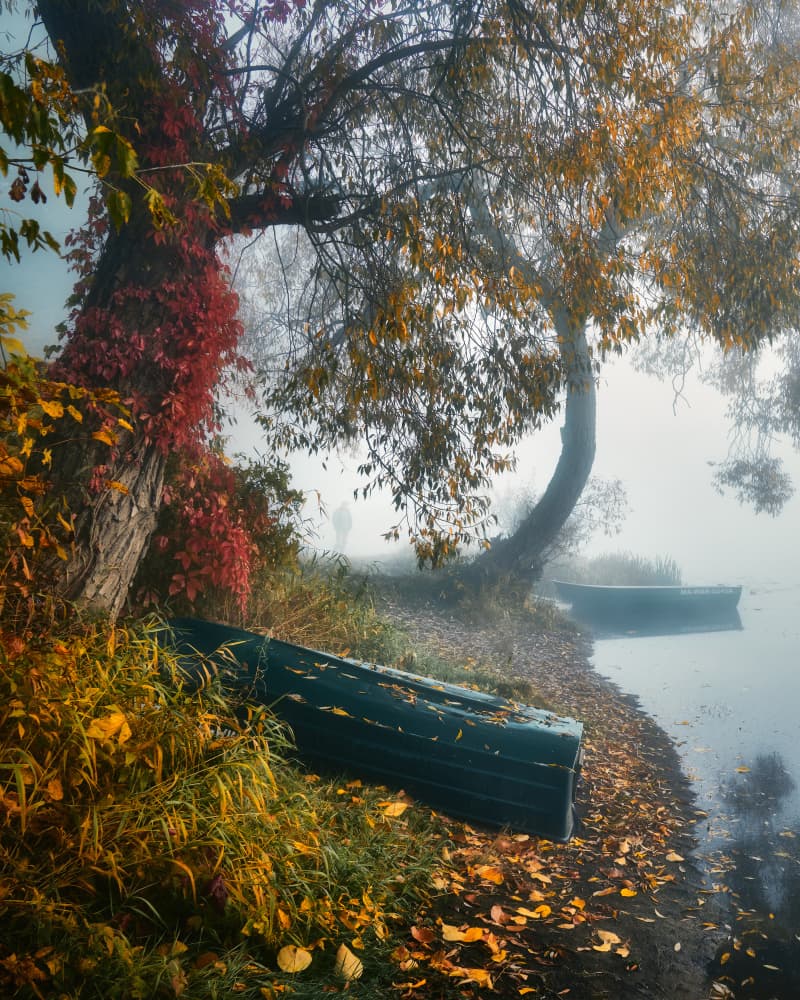 Autumn Foggy Lake Boats by Pawel Kado — canvas wall art
