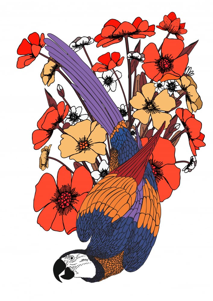 Parrot And Flowers by Nicholas — canvas wall art