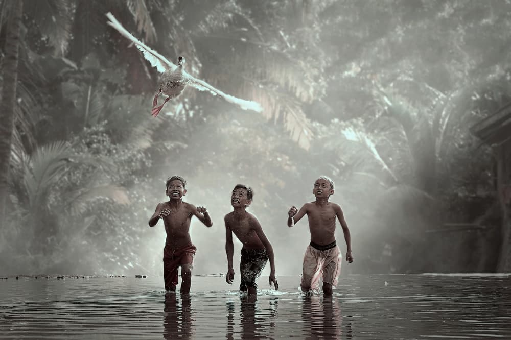Joyful Boys Flying Swan by Vichaya — canvas wall art
