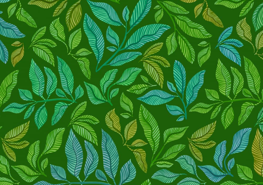 Jungle Vines by Kristian Gallagher — canvas wall art