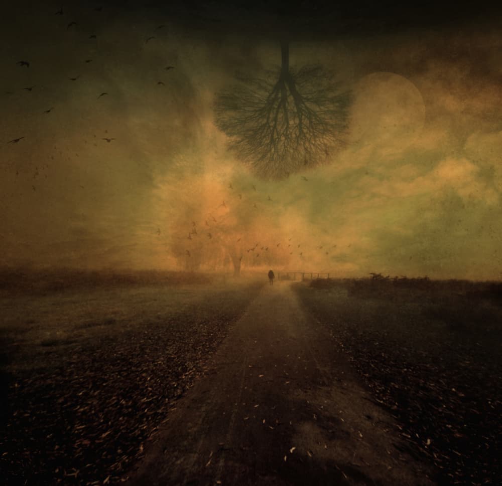 Lone Figure Misty Path by Robert Fabrowski — canvas wall art
