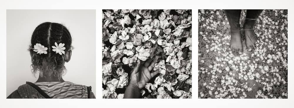 Barefoot and Blooms by Gloria Salgado Gispert — canvas wall art