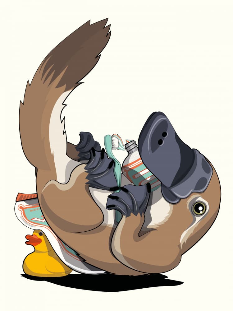 Platypus Bath Time by In The Washroom — canvas wall art
