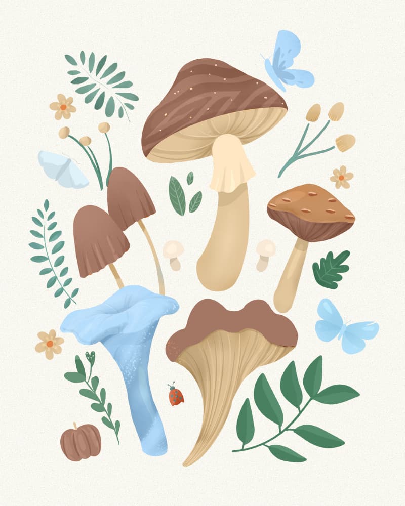 Mocha Fungi by Petra Lizde — canvas wall art