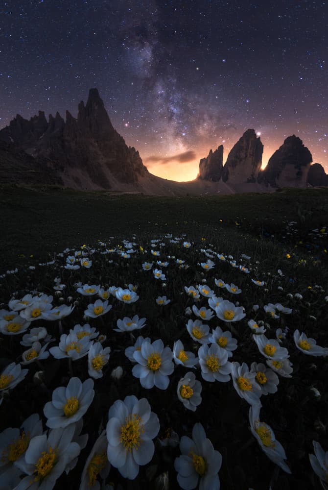 Milky Way Mountain Flowers by NingYun Ye — canvas wall art