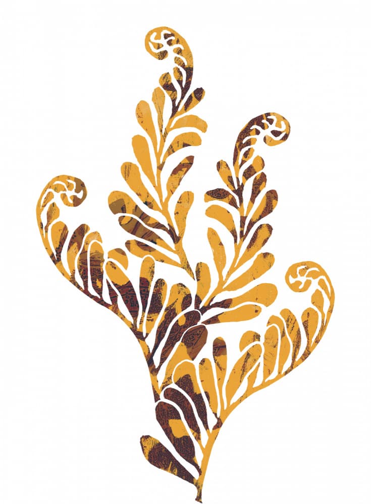 Warm Botanical Fronds by Melissa McKeagney — canvas wall art