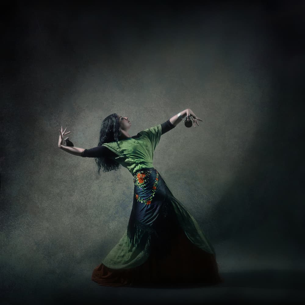 Flamenco Dancer's Grace by Moein Hasheminasab — canvas wall art