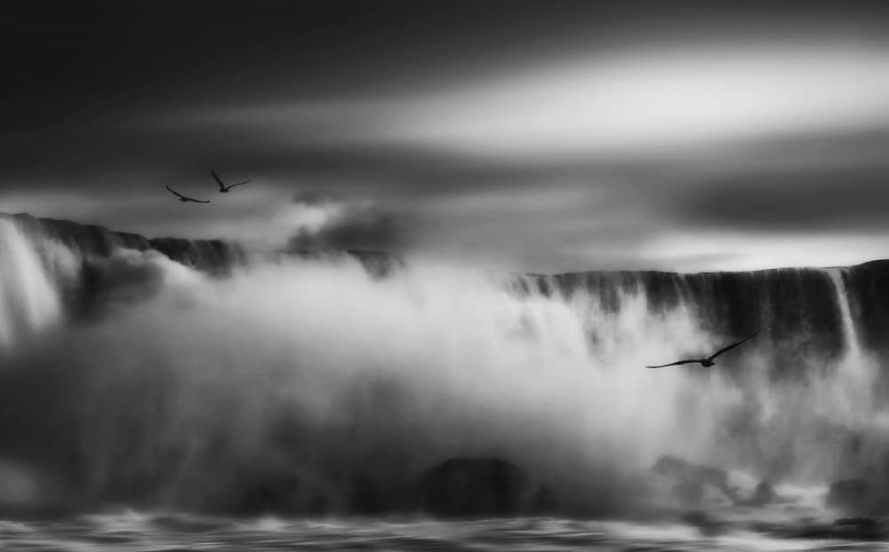 Dramatic Waterfall Birds by Yvette Depaepe — canvas wall art