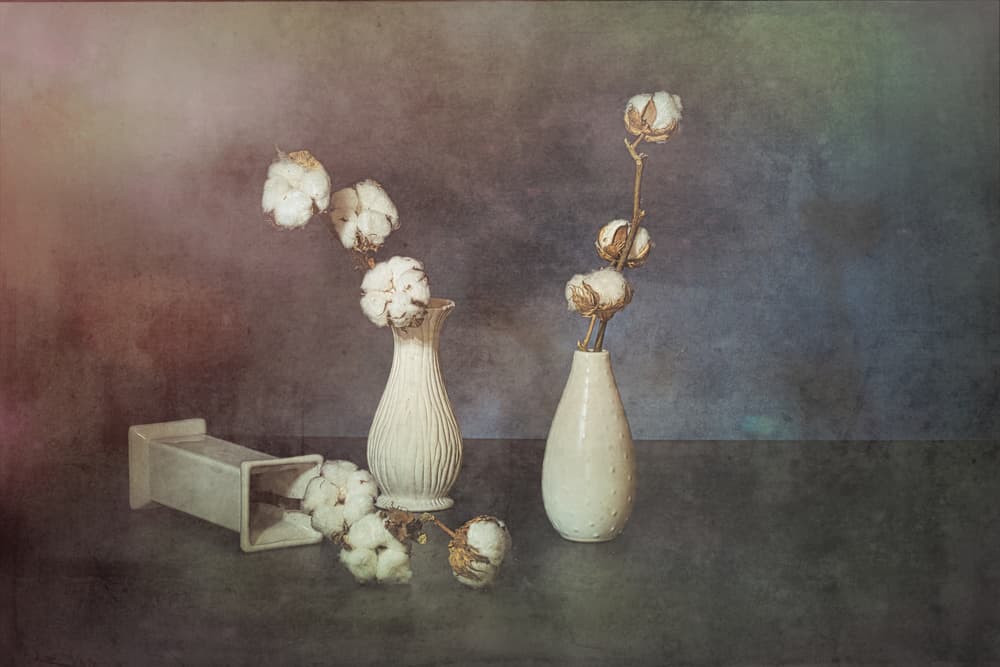 Natural Cotton Vases by Saskia Dingemans — canvas wall art