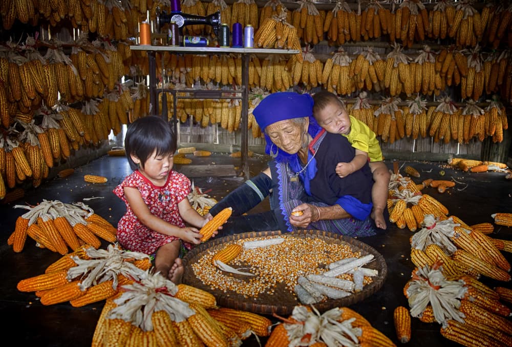 Generations Shelling Corn by Angela Muliani Hartojo — canvas wall art