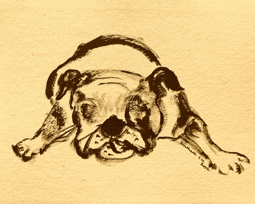 Playful Bulldog Sketch by Santhosh ch — canvas wall art