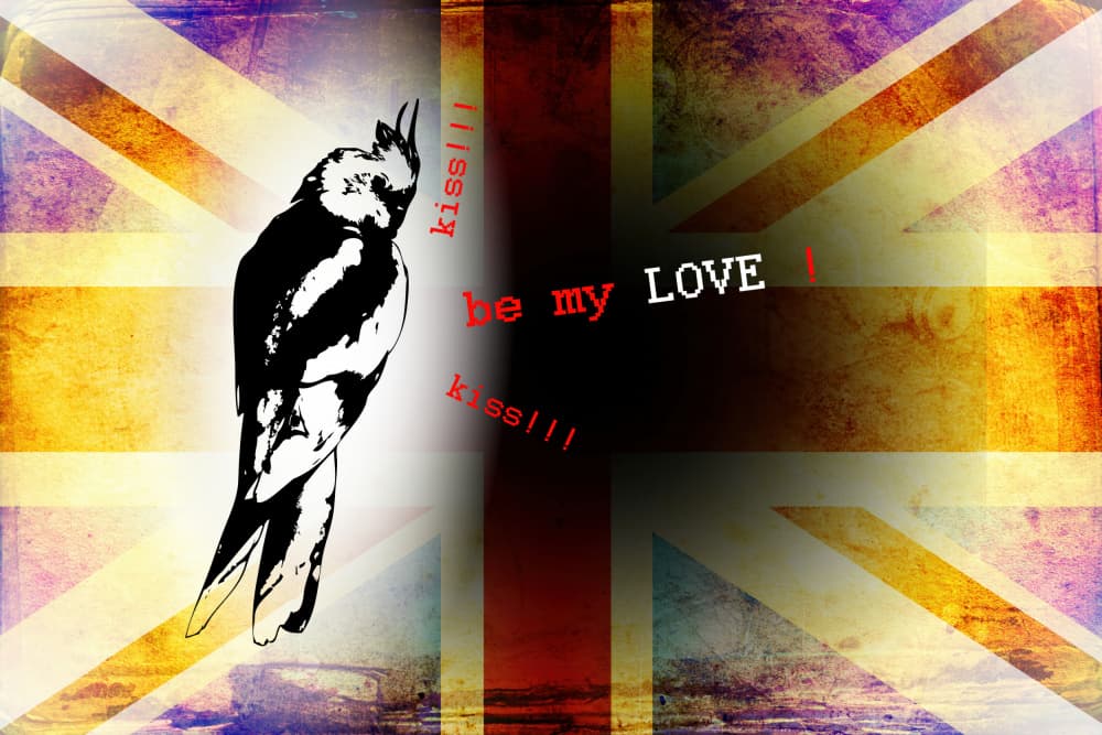 British Love Bird Grunge by Rafal Kulik — canvas wall art