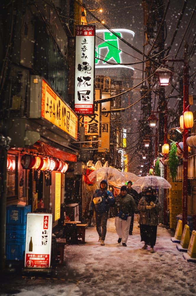 Snowy Tokyo Street by LIANG CHEN — canvas wall art