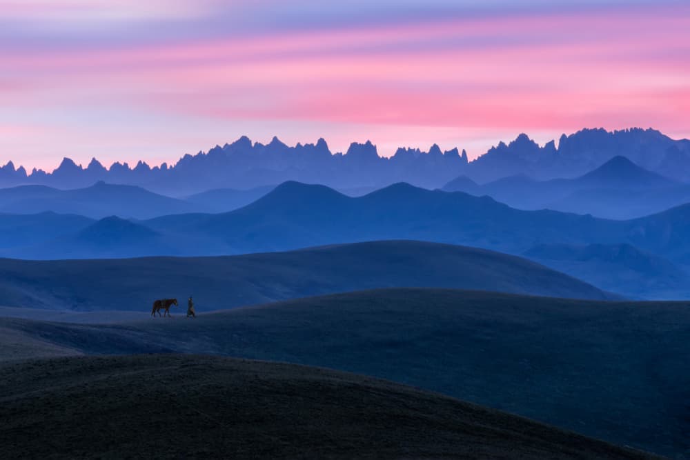 Mountain Horse Twilight by Irene Wu — canvas wall art
