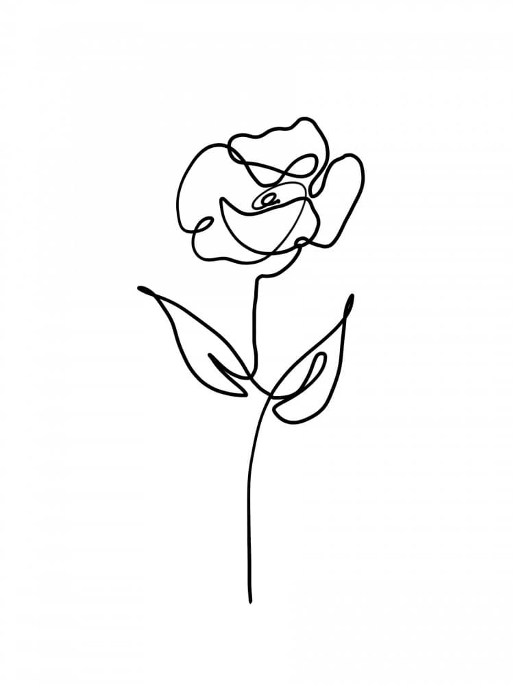 Single Line Rose by Hanna Lee Tidd — canvas wall art