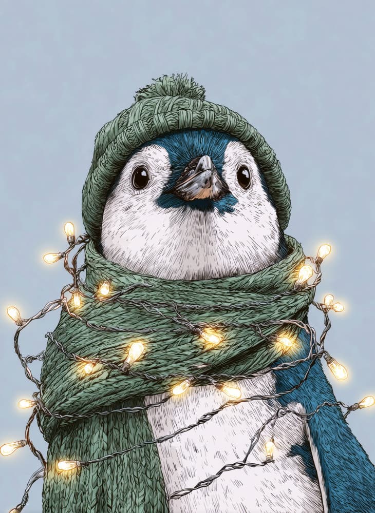 Cute Christmas Penguin by Justyna Jaszke — canvas wall art