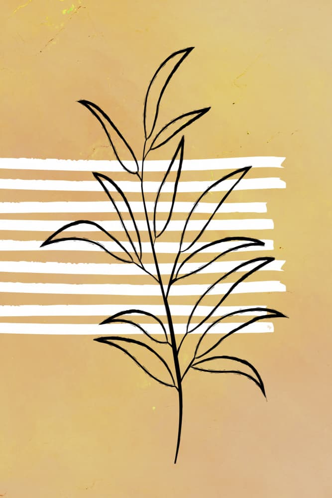 Minimalist Botanical Study by Martina — canvas wall art