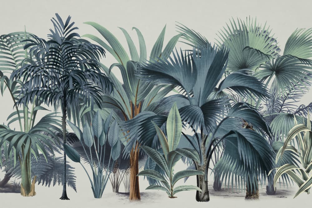 Lush Tropical Palm Jungle by Andrea Haase — canvas wall art