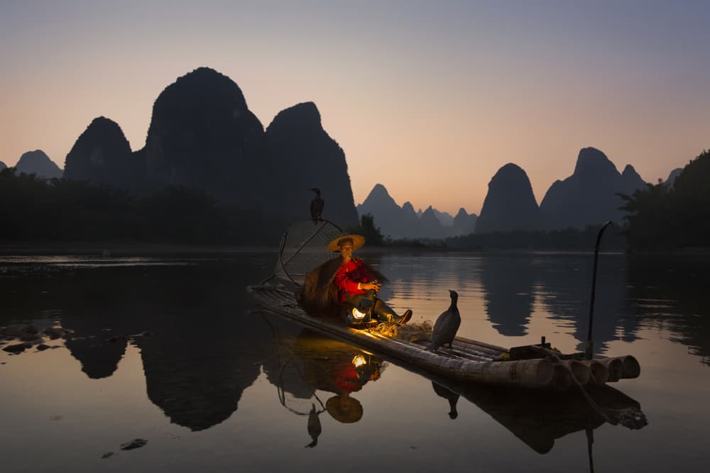 Cormorant Fishing At Dawn by Istvan Kadar — canvas wall art