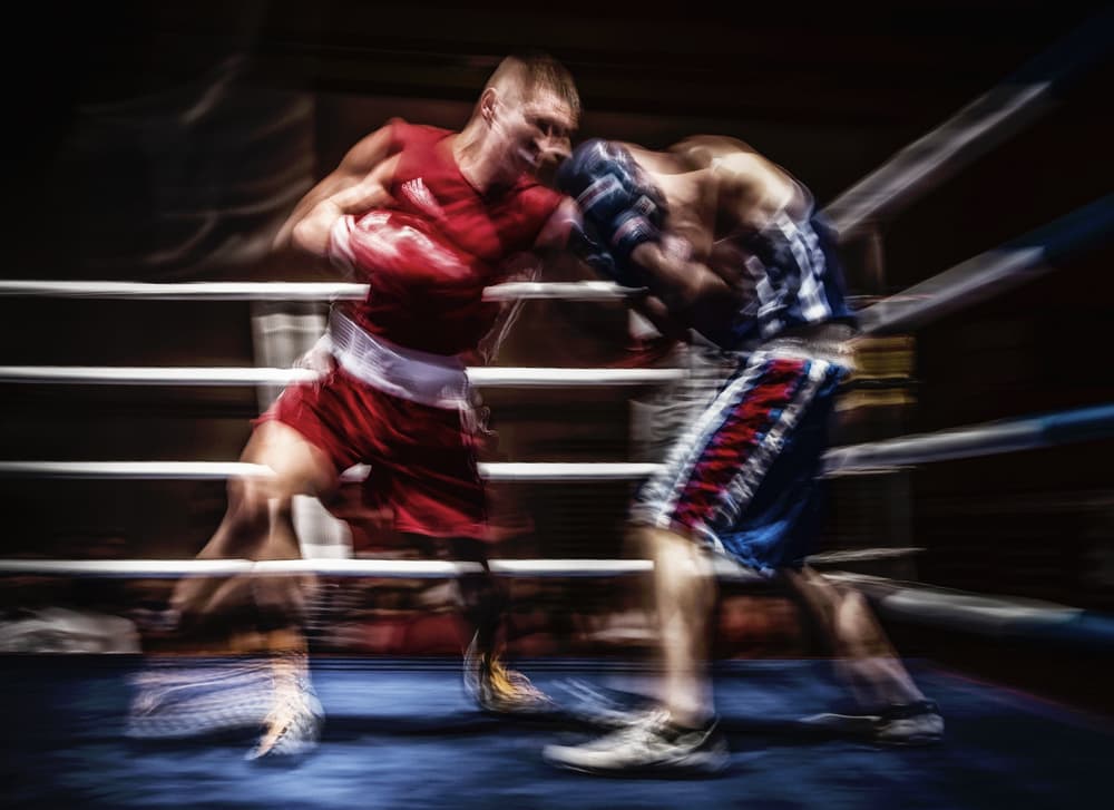 Intense Boxing Action by Dusan Ignac — canvas wall art