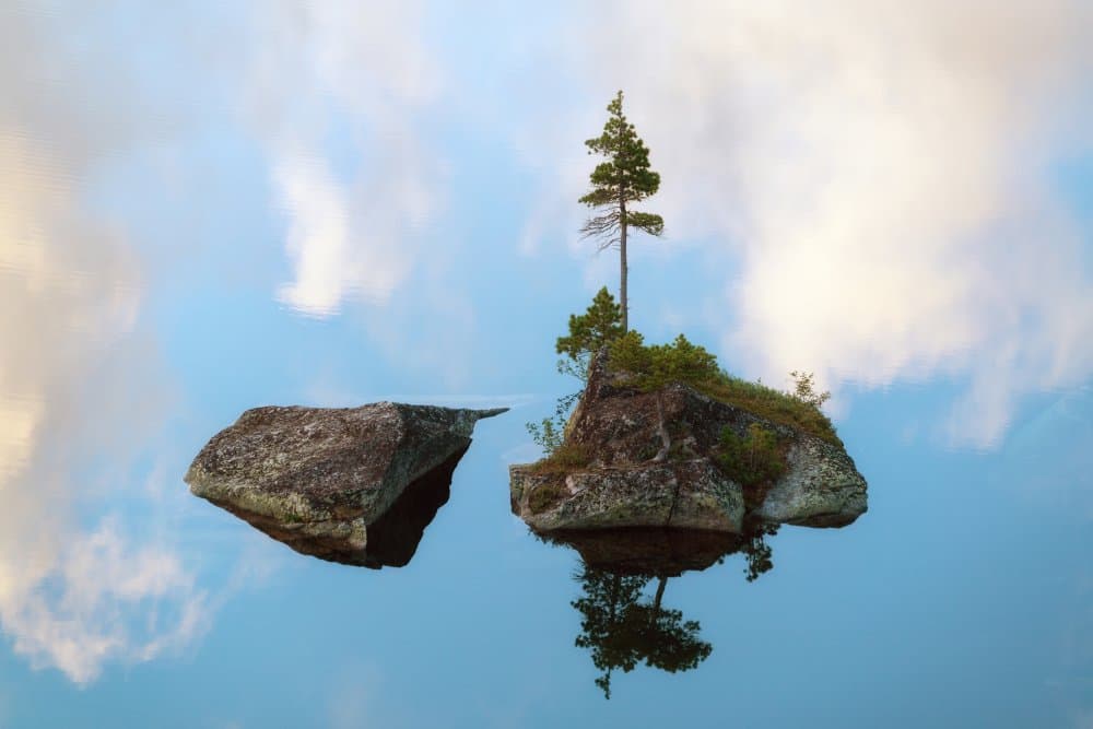 Floating Island Reflections by Dmitry Doronin — canvas wall art