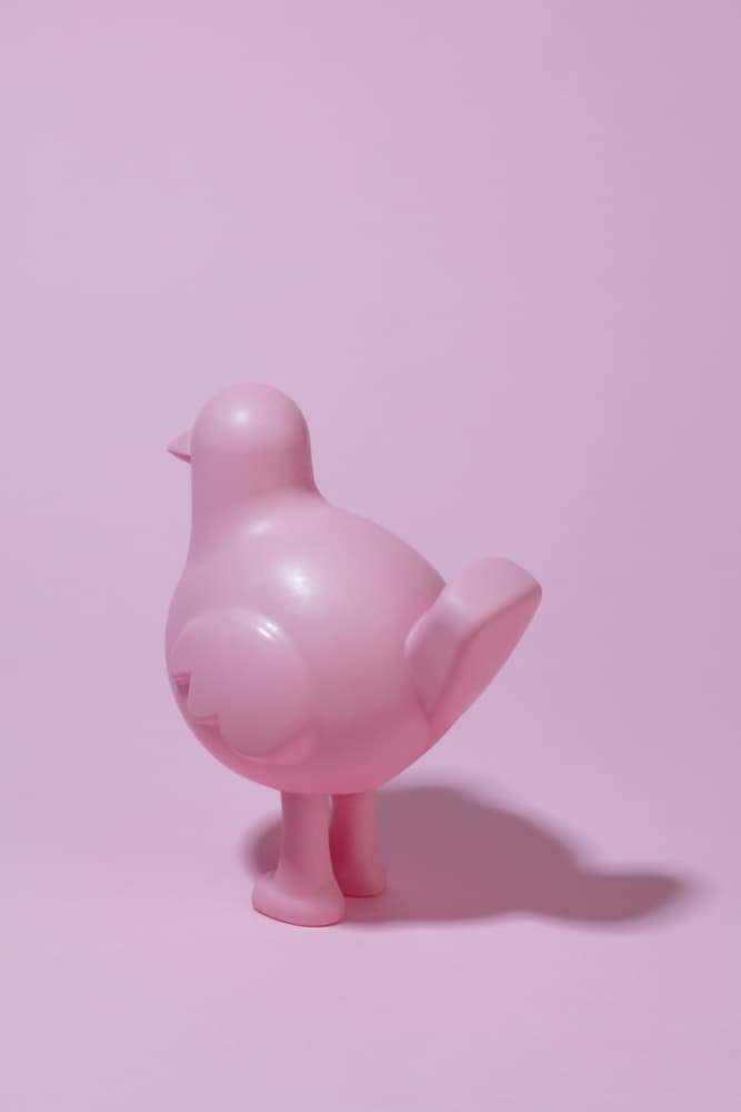 Pink pigeon says goodbye by Julia Ramiro — canvas wall art