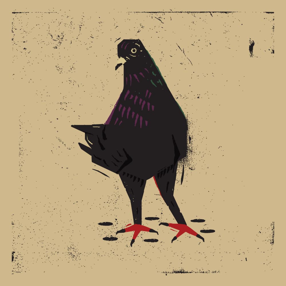 Urban Pigeon Grunge by The Creating Mind — canvas wall art