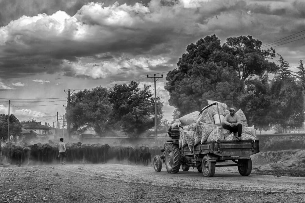 Rural Road Journey by Zühdü Bilgin — canvas wall art