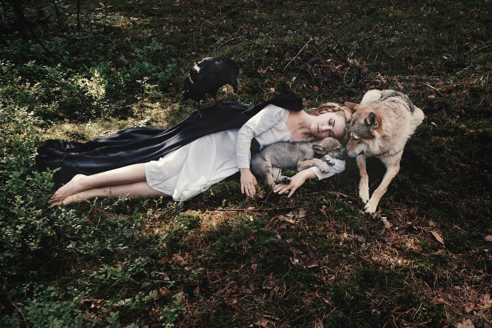 Woman Wolf Pup Slumber by Olga Barantseva — canvas wall art