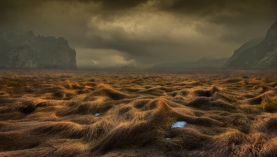 Windswept Grassland Peaks by paralaxa — canvas wall art