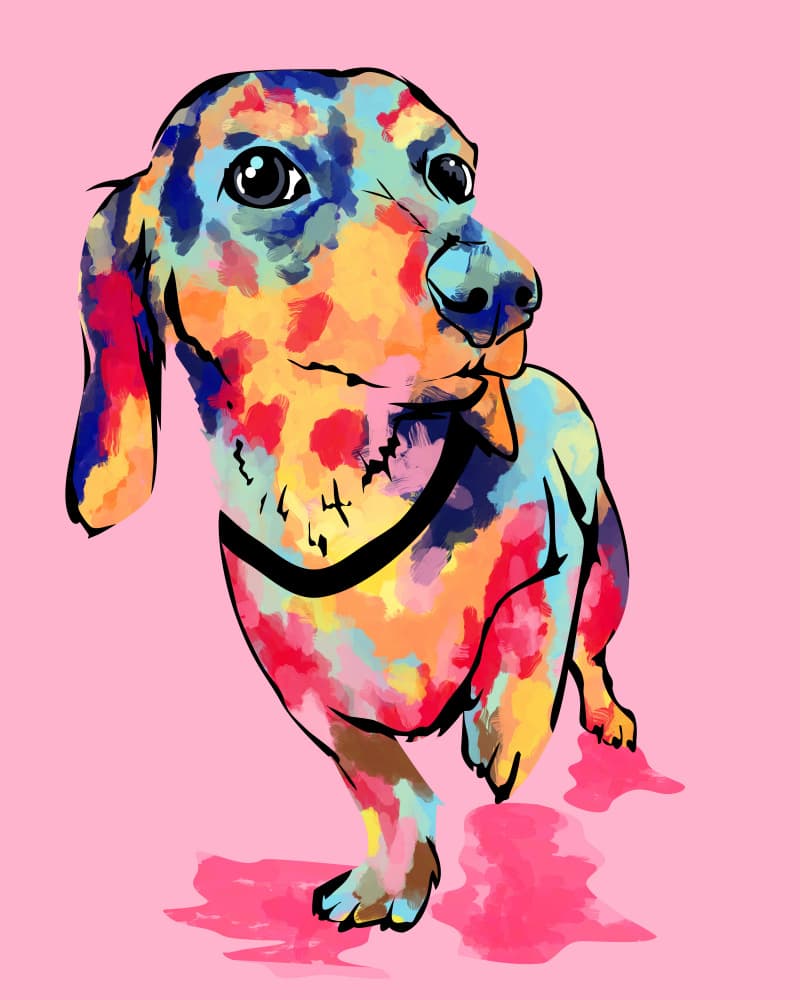 Playful Colorful Dachshund by Kintsugi99 — canvas wall art