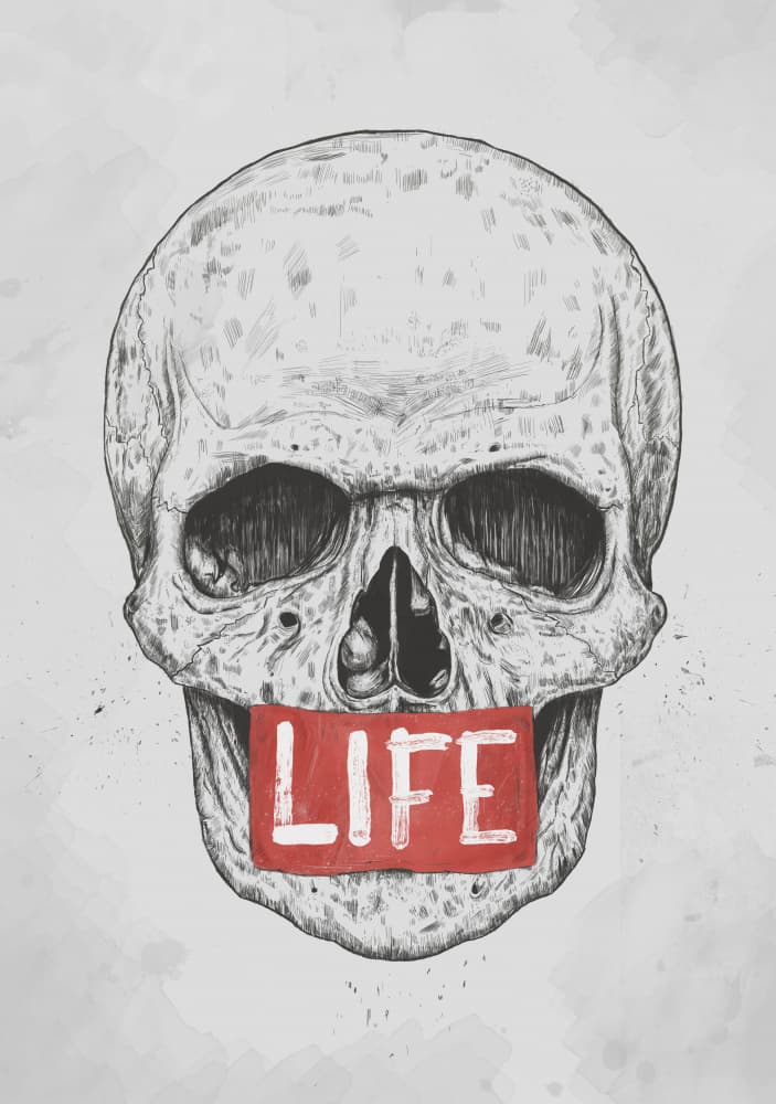 Skull of Life by Balazs Solti — canvas wall art