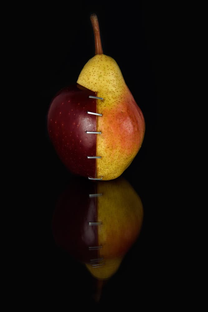 Spliced Apple Pear by Alessandro Fabiano — canvas wall art