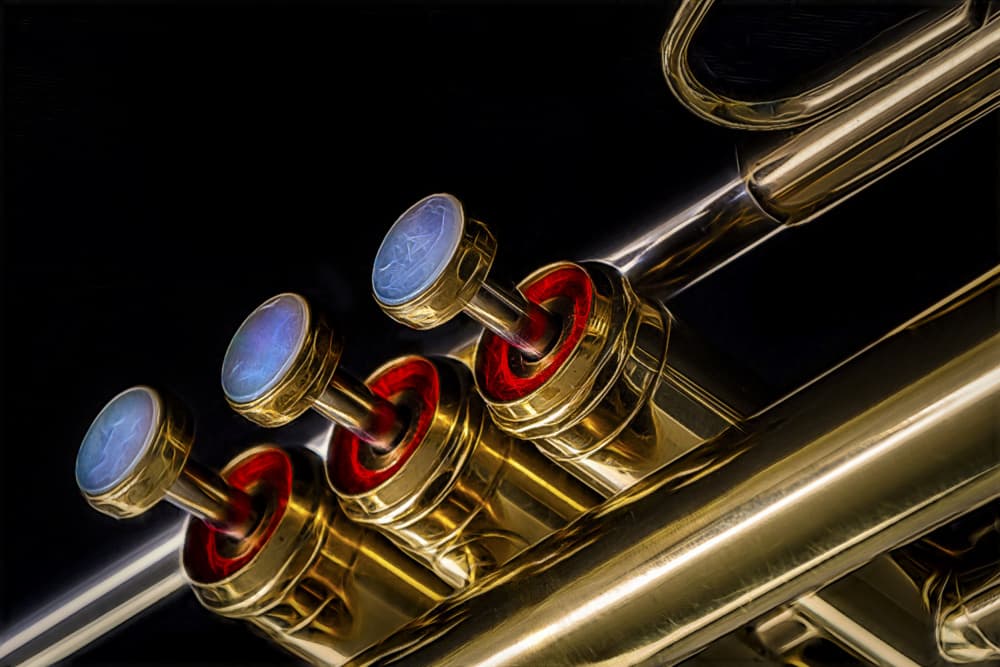 Golden Trumpet Shine by Stephan Rückert — canvas wall art