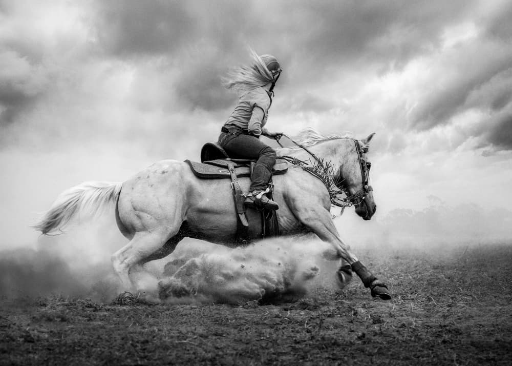 Western Horse Action by Frank Ma — canvas wall art