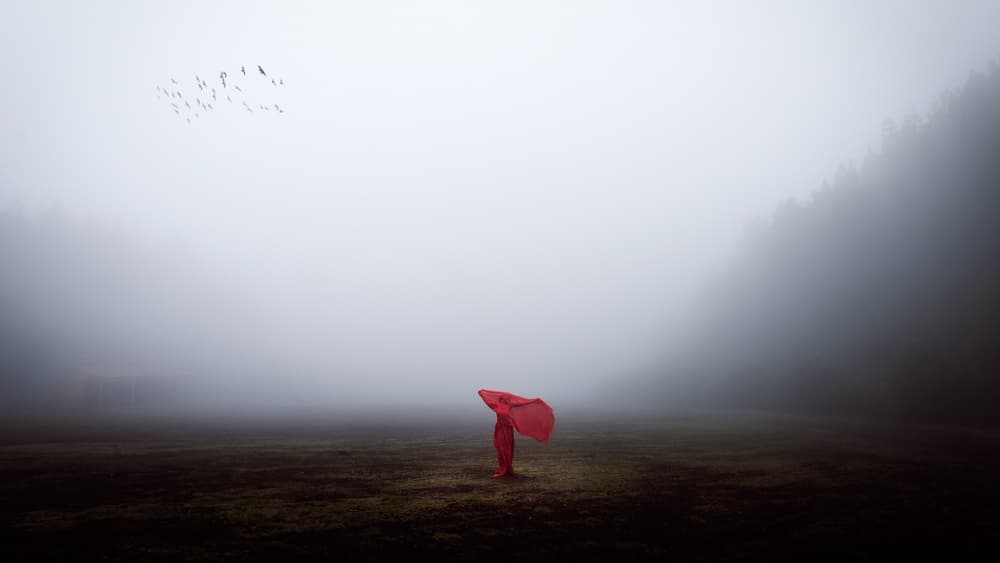 Red Figure in Fog by Dominic Dähncke — canvas wall art