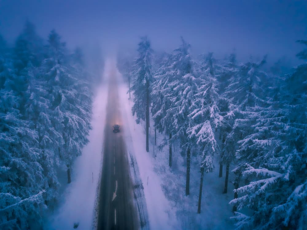 Misty Winter Drive by Stephanie Kleimann — canvas wall art