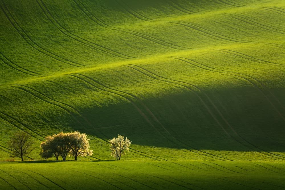 Vibrant Spring Hills by Daniel Řeřicha — canvas wall art