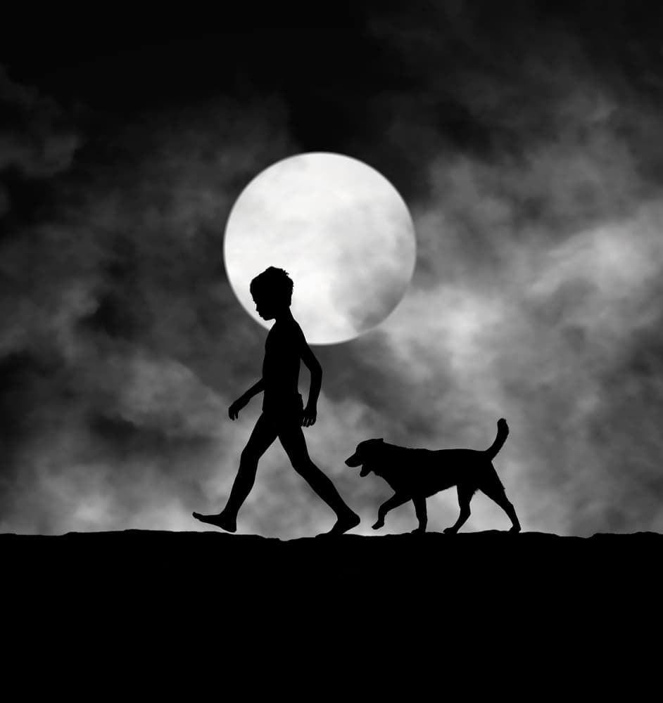 Moonlit Child and Dog by Hengki Lee — canvas wall art
